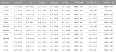 A hybrid neural architecture search for hyperspectral image classification